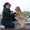 dog walk 2013-5162